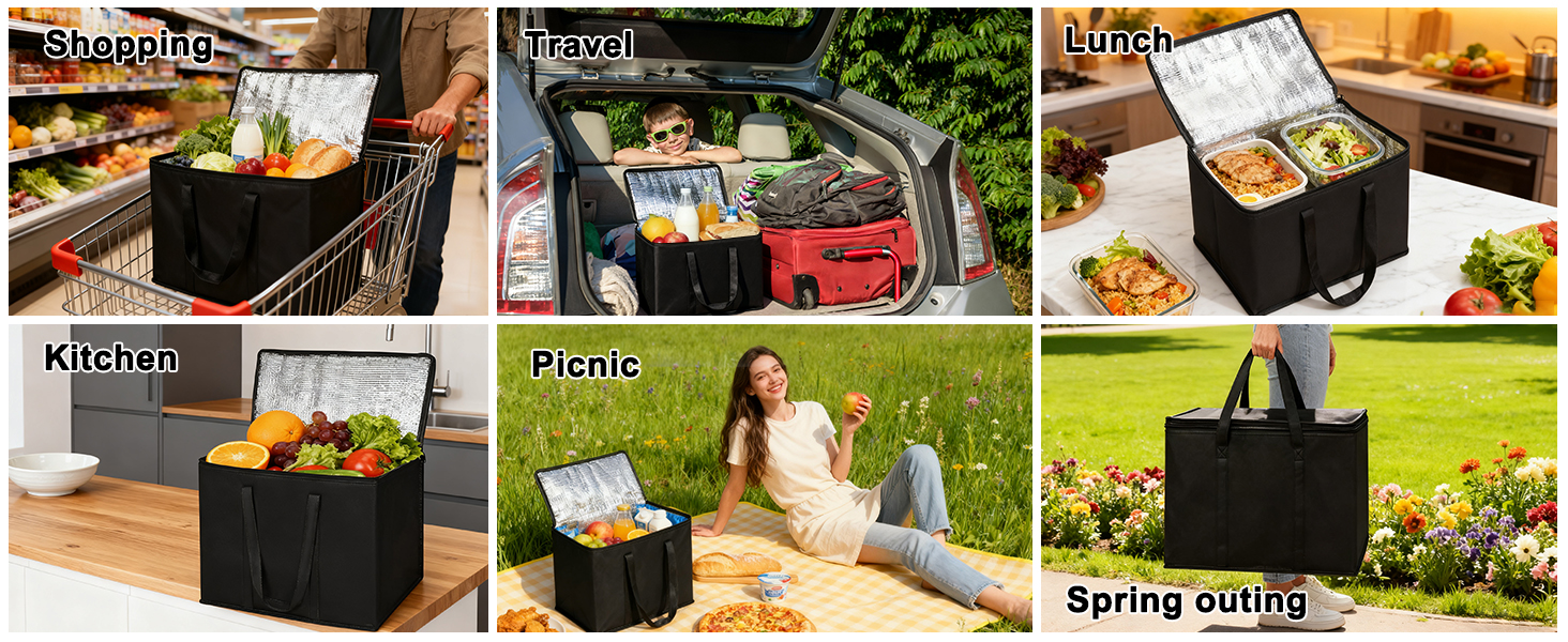 Reusable Insulated Bags