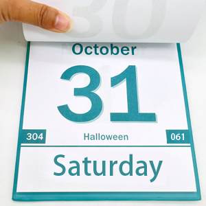 page a day calendar 2026