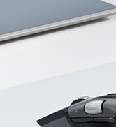 computer mouse