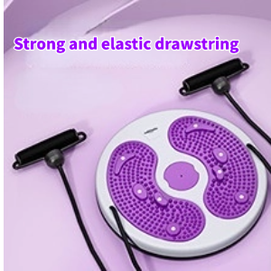 Ab Twist Waist Disc Board