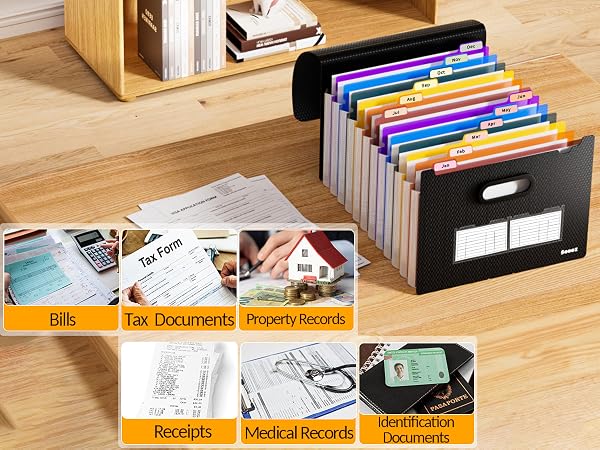 large capacity filing organizer