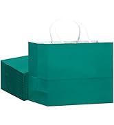 qiqee 24PCS Large Gift Bag with Handles Bulk 13