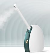 essential chamber Facial steamer for all kinds of skin care nano mister