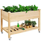 Giantex Raised Garden Bed on Wheels, Wood Planter Box with Legs, Liner, Drain Holes, Elevated Gar...