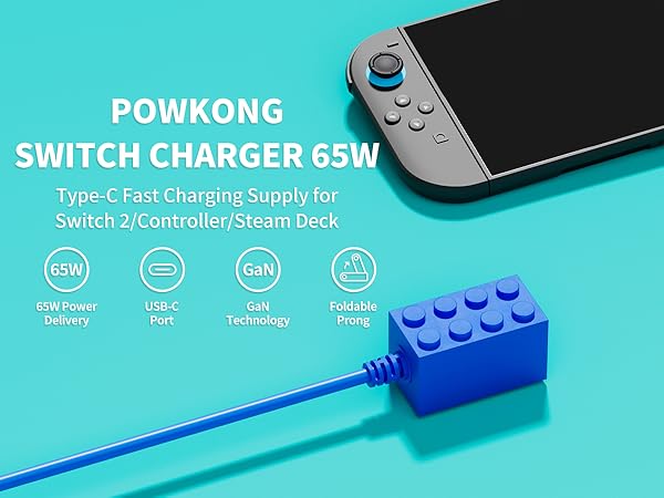 switch 2 Charger