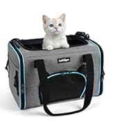 cat carrier