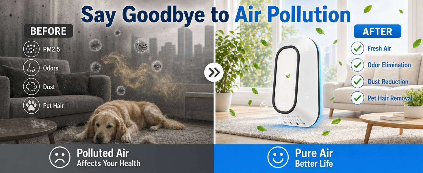 air ionizers for dust