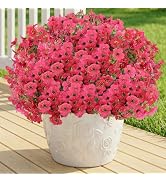 LetuoClips 13 Bundles Artificial Flowers for Outdoors Summer Decoration | Silk Realistic UV Resis...