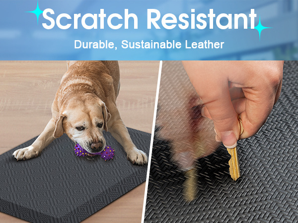 Scratch Resistant