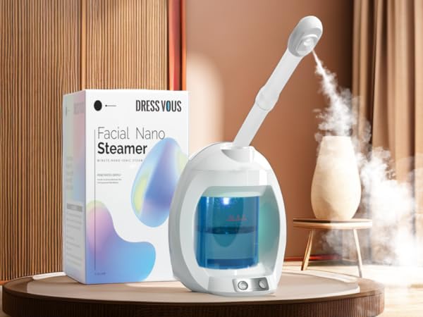 face steamer