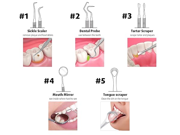 Stainless Steel Dental Cleaning Kit With Dental Picks, Tooth Tartar Scraper, Tongue Scraper, Mirror