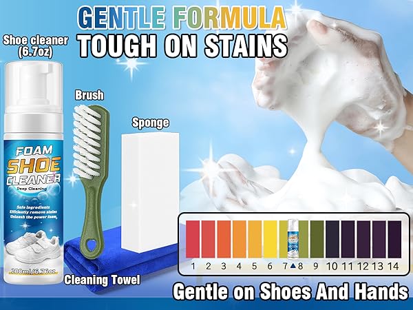 shoe cleaner kit