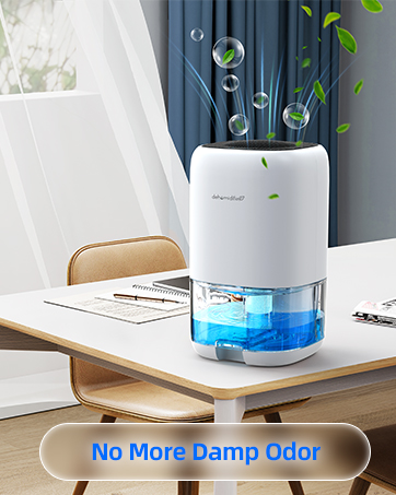 dehumidifier for office