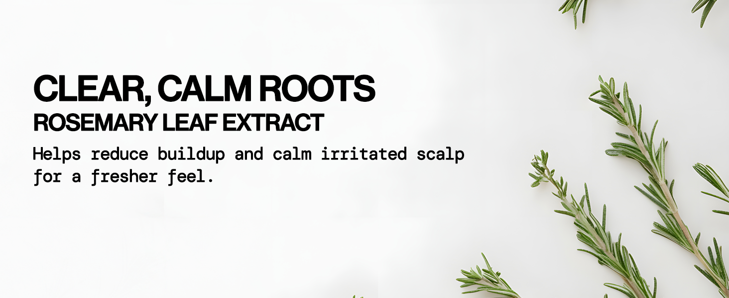 salicylic, glycolic, and lactic acids with rosemary, vegan, clarifying cleanse