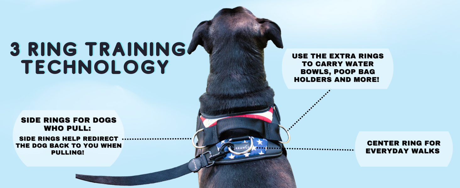 training harness no pull harness for training
