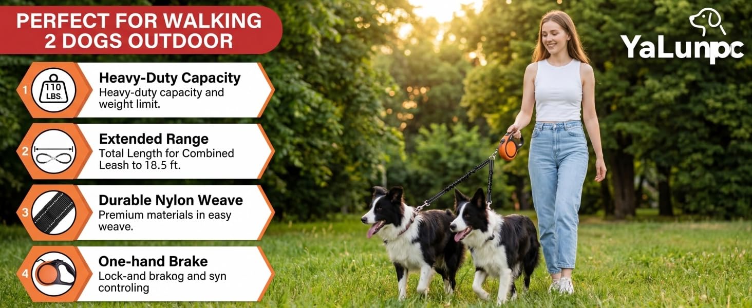 double dog leash