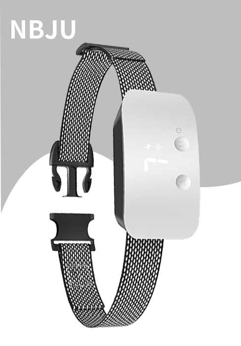 barking collar