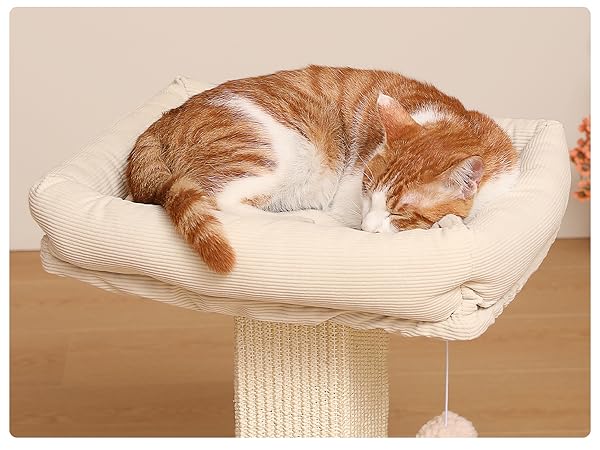 raised cat bed