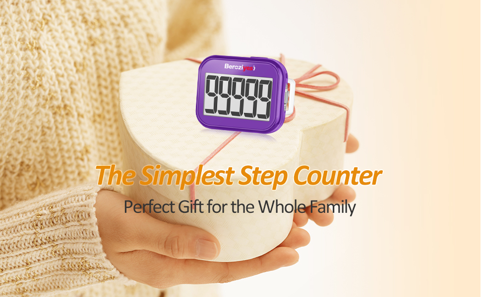 pedometer clip on