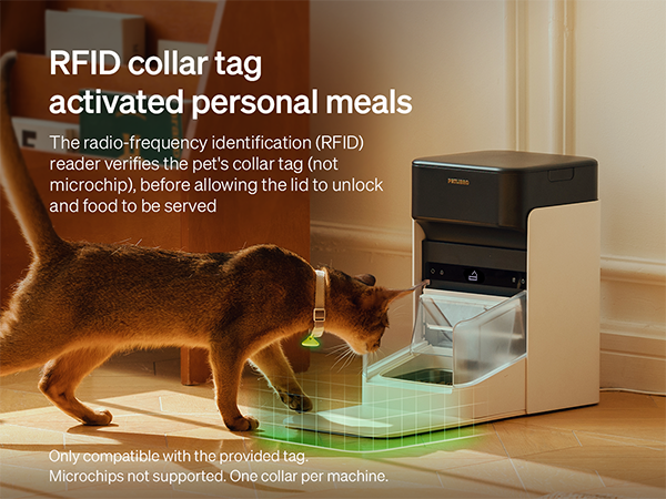 Collar Tag