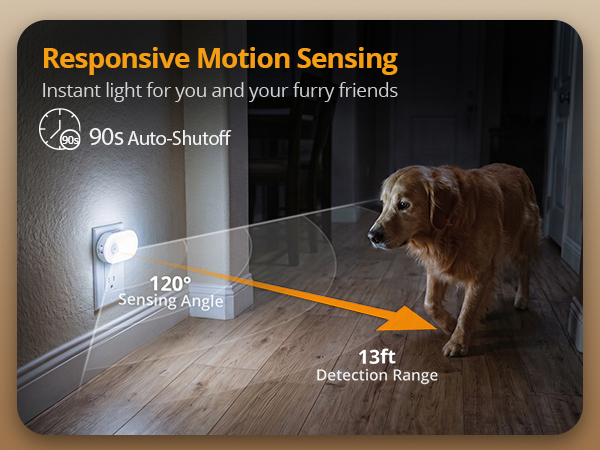 Motion-Sensing Night Light for Pets and Midnight Navigation