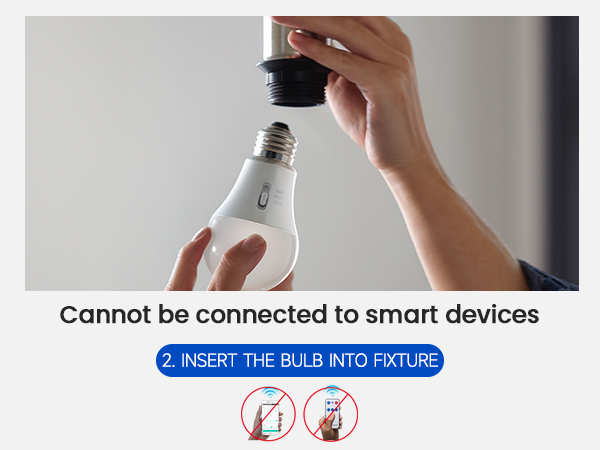 timer bulbs