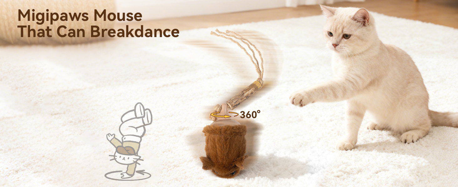 interactive cat toy motion sensor cat toy rechargeable cat toy smart cat toy