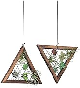 J JACKCUBE DESIGN Air Plant Triangle Frame Hanging Airplant Holder, Rustic Wood Tillandsia, Succu...