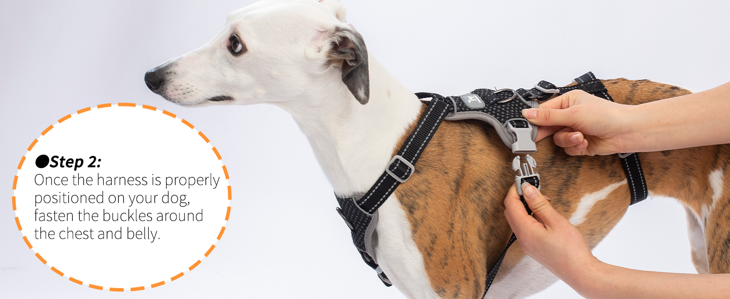 escape proof dog harness
