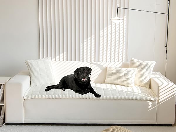 Cream Couch Cover