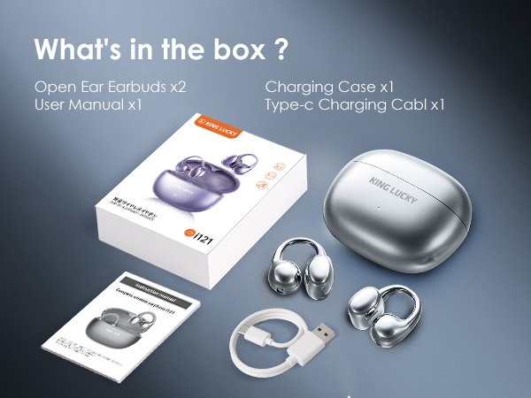 clip earbuds