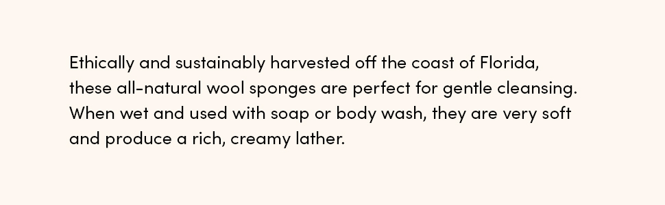 sea wool sponge