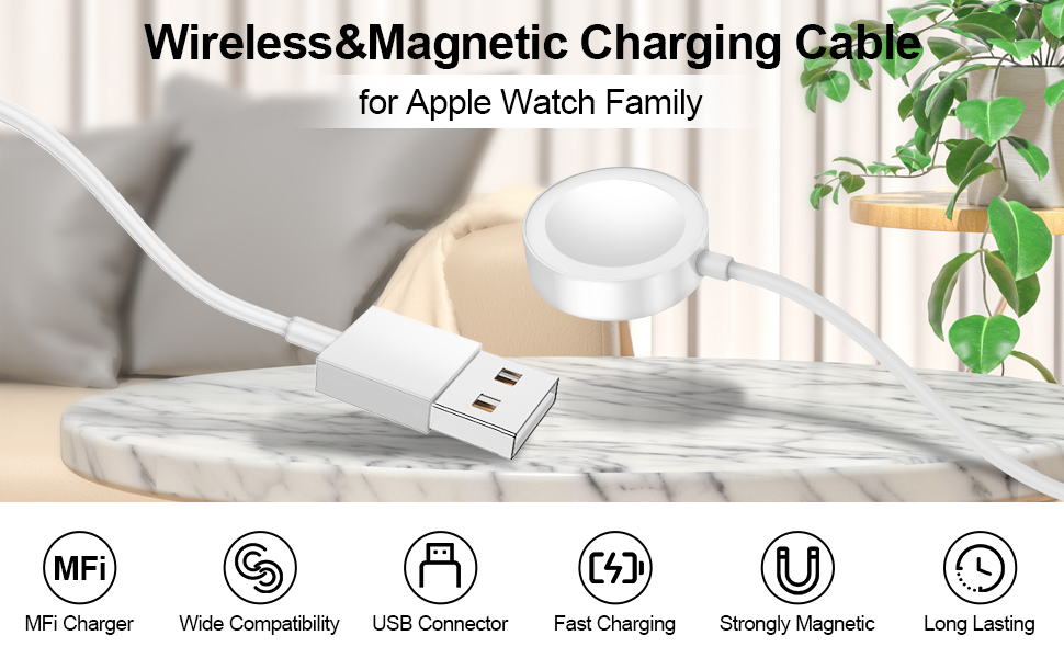 Apple watch charger
