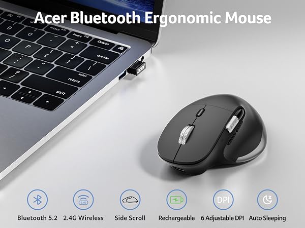 mouse