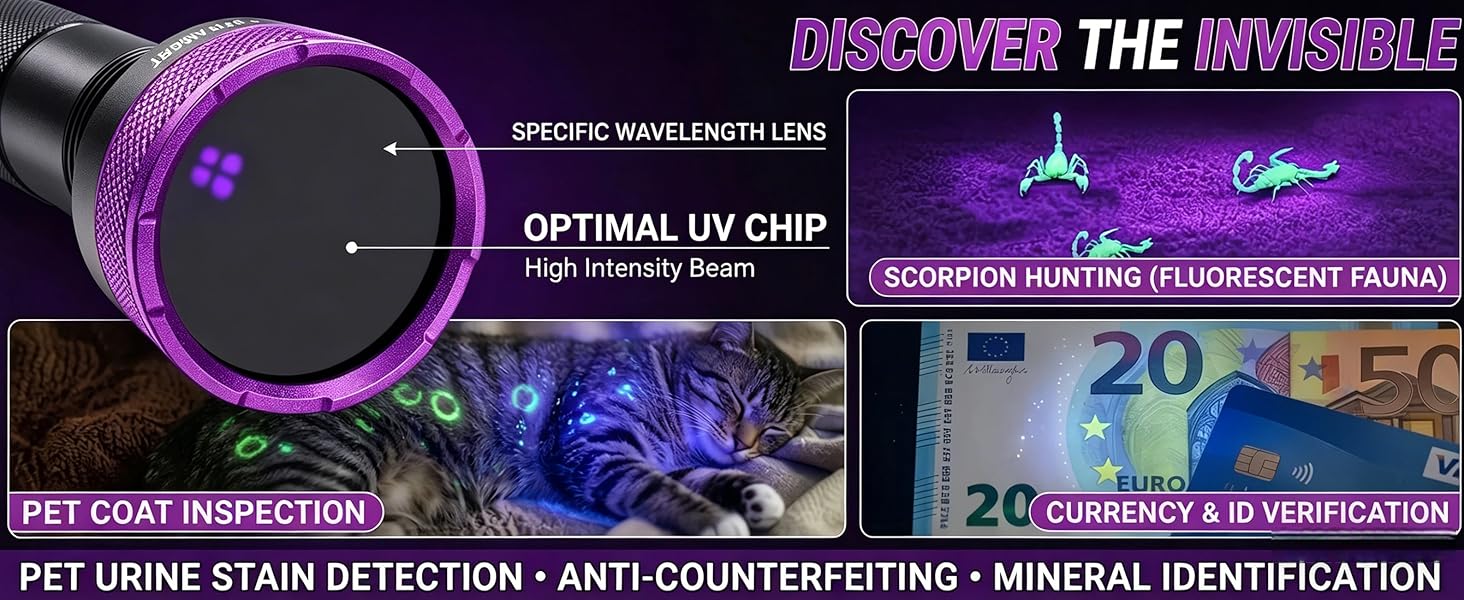 365nm BlackLight