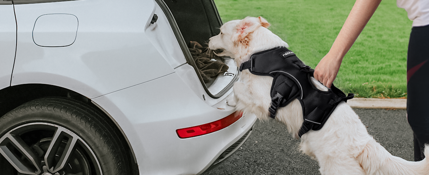 dog harness with support handle