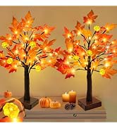 TURNMEON Fall Decor 2 Pack 24 Inch Prelit Fall Maple Tree 48 LEDs Timer | Fall Decorations for Ho...