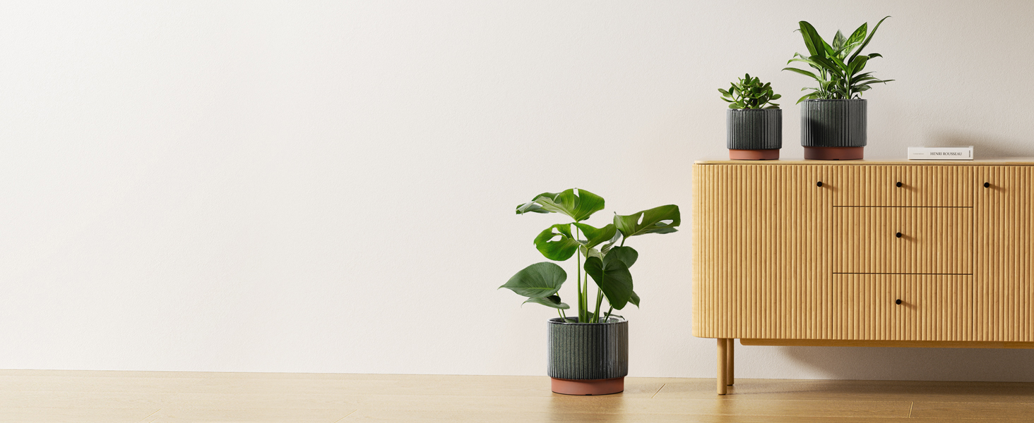 ceramic plant pots