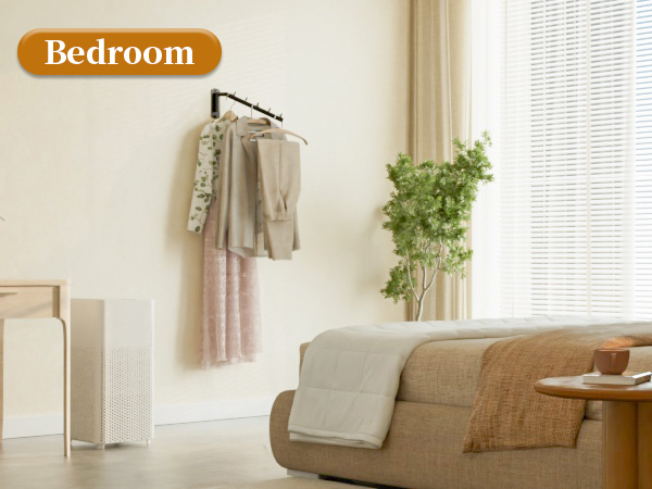 coat hanger for wall
