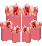 qiqee Salmon Gift Bags with Tissue Paper Mulit Assorted Sizes 10PCS Present Birthday Bags(2pcs La...