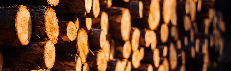 Acacia Wood has many benefits.