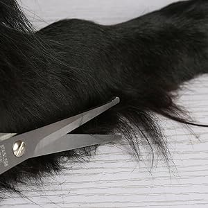 Professional Grooming Tools