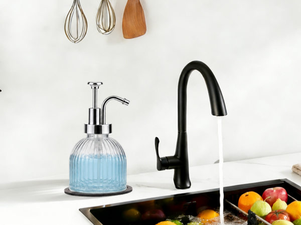 kitchen soap dispenser