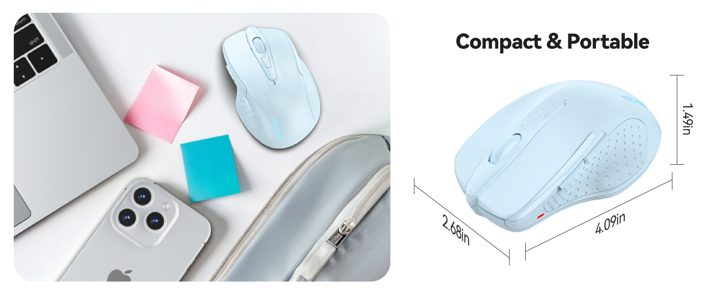 mouse