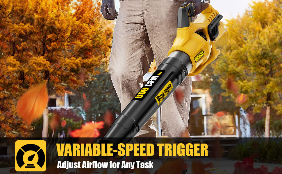 Dewalt Leaf blower