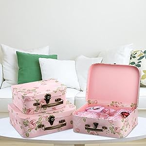 Suitcases Storage Box
