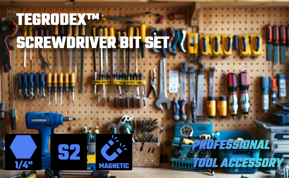 screwdriver bit set security torx