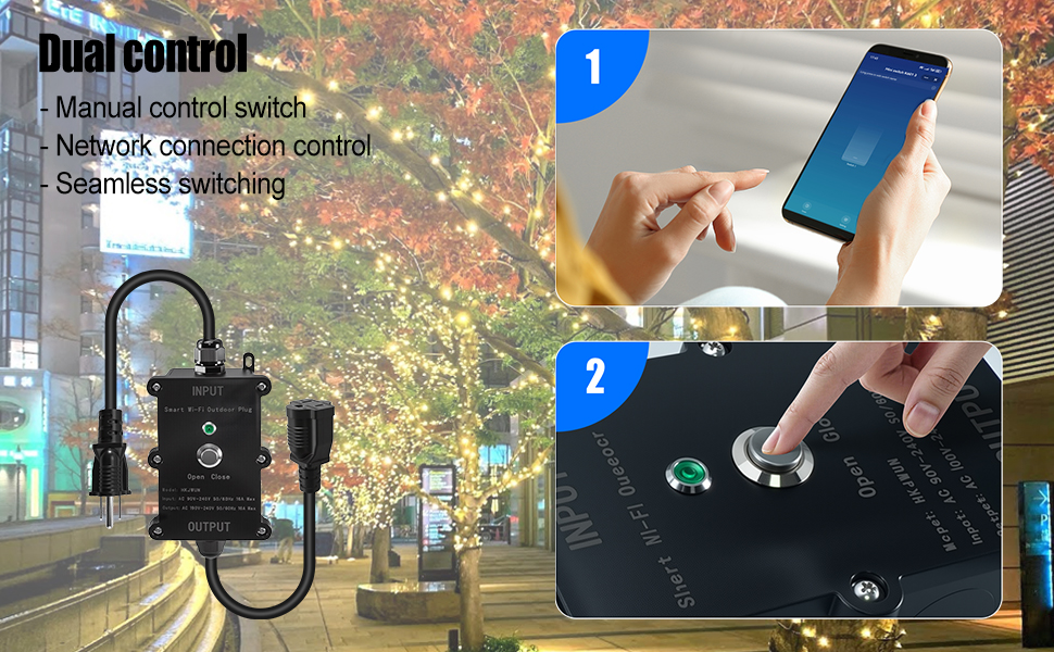 Dual Control