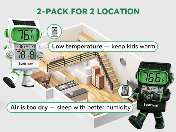 Digital Thermometer