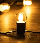 vintage led bulbs